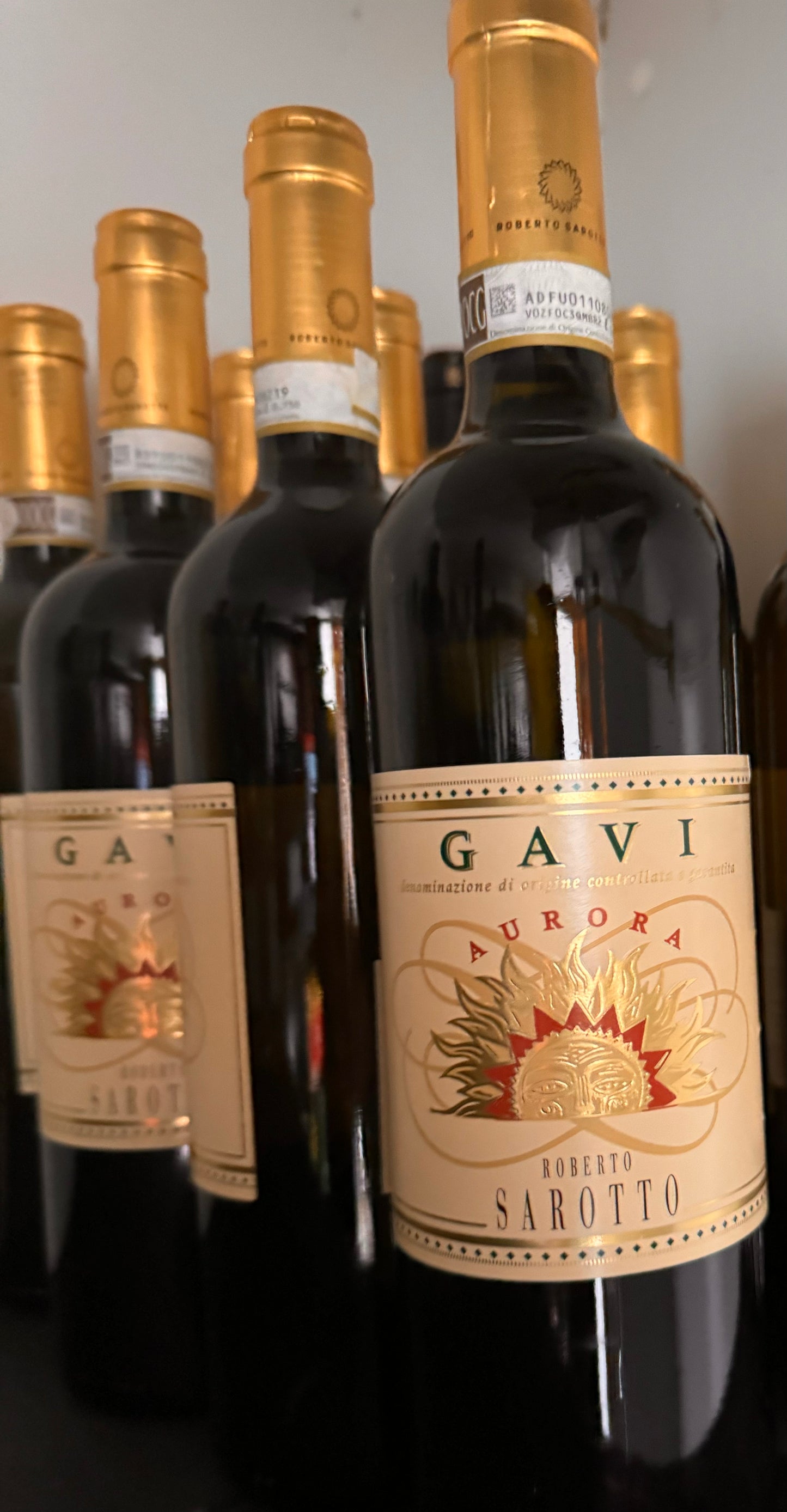 Gavi Aurora Roberto Sarotto