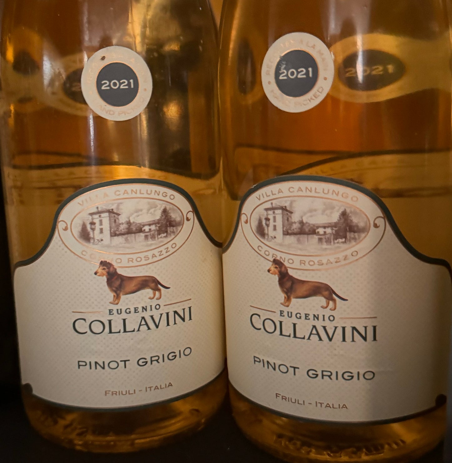 Collavini Pinot Grigio